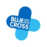 40-blue-cross-charity-dog-show