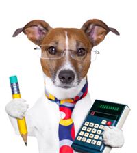 stock-dog-calculating