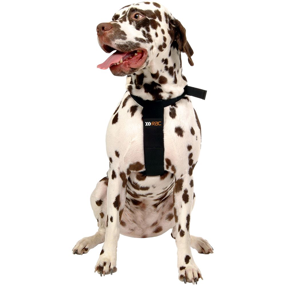 RAC Dog Safety Harness RACPB15 Extra Large 